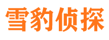 合江寻人公司